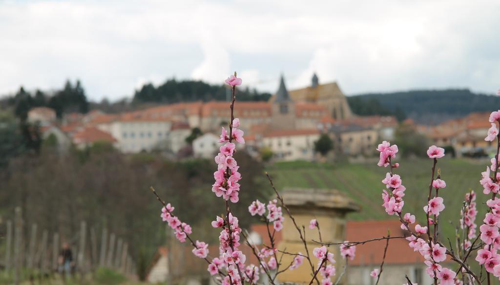 Gites Le Lancelot Ambierle Exterior foto